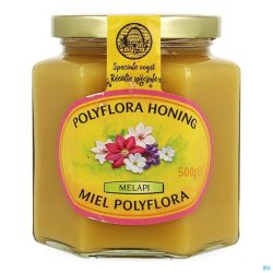 Melapi Miel Polyflora Tendre 500g 5531 Revogan