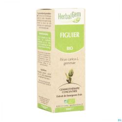 Herbalgem Figuier Macerat 50ml