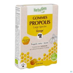 Herbalgem Propolis Large Spectre Bio Gommes 24