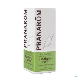 Eucalyptus Radiata Hle Ess 10ml Pranarom