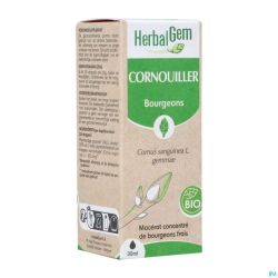 Herbalgem Cornouill Bio 30ml