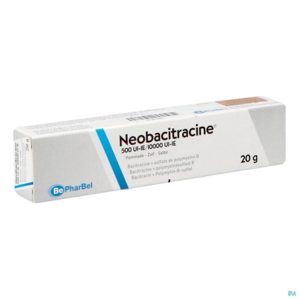 Neobacitracine Nf Pomm. Derm. 20g